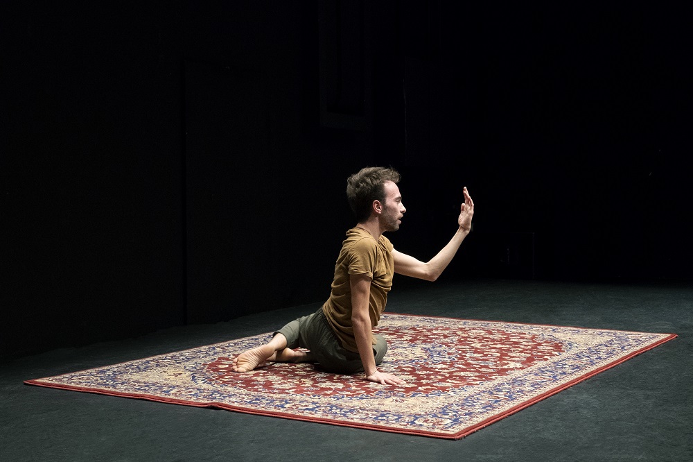 StudioSulFauno@MelitiSara rid