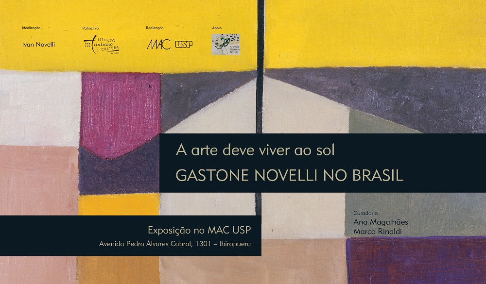 IIC_CAPAS_NOVELLI_FOCUS